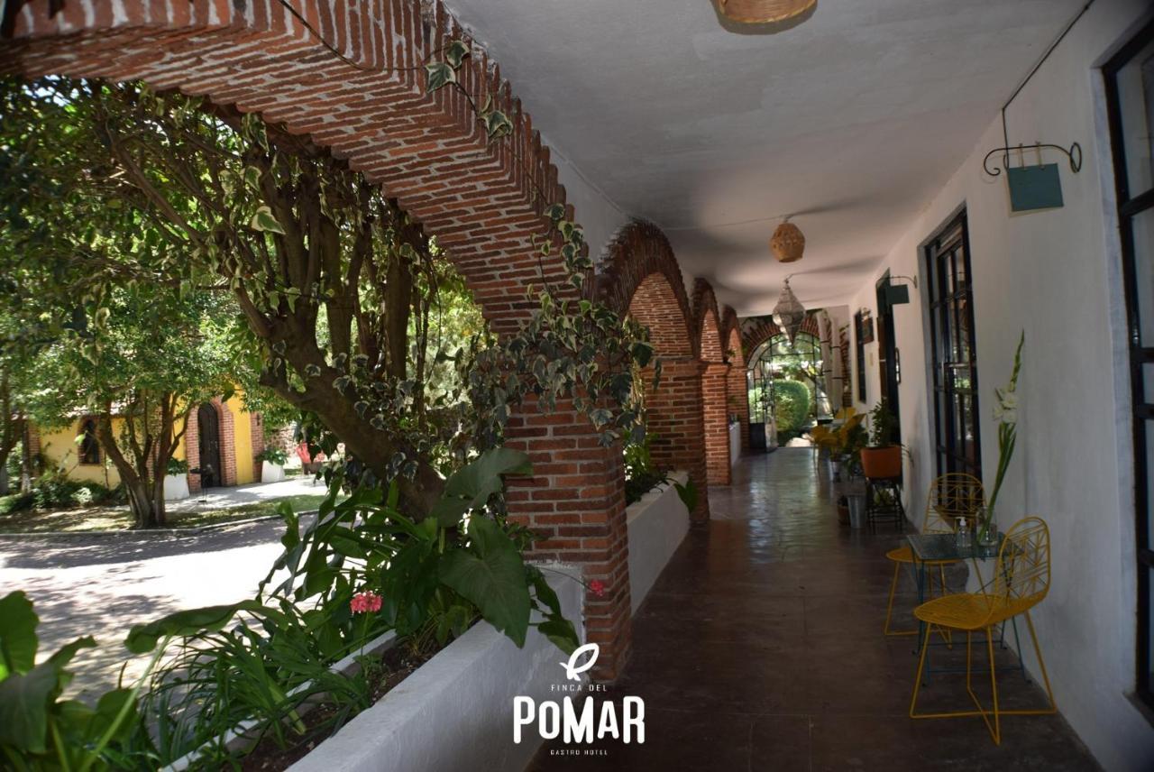 Finca Del Pomar Acatlan Екстер'єр фото